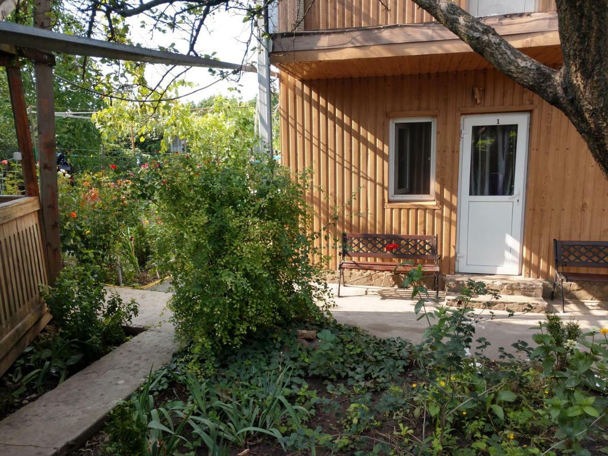 Private Odessa Apartment Kryzhanivka Esterno foto